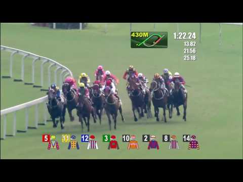 Horse of fortune - Karis Teetan (November)