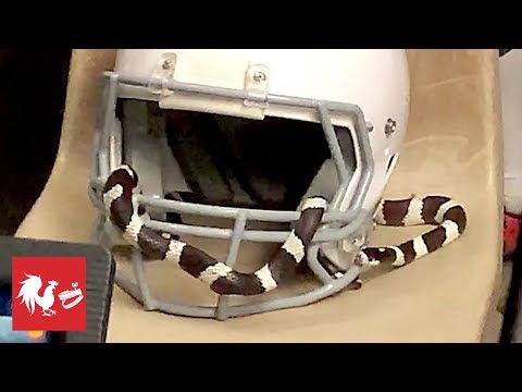 THE SNAKE PRANK | RT Life