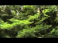 Gary Stroutsos - River of Life - HD.mp4