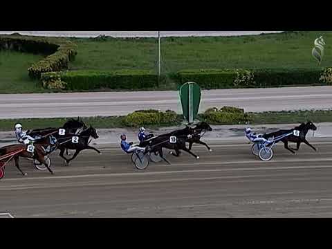 Aversa trotto 25 Marzo 2023 - 3° Corsa