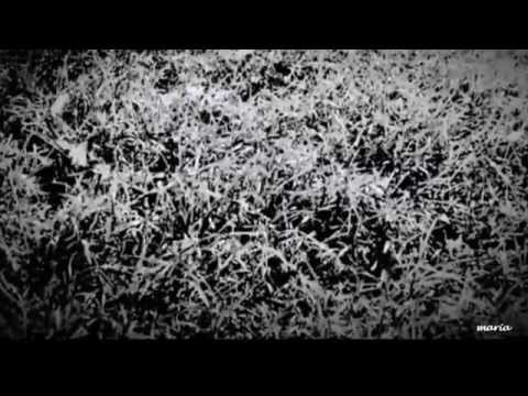 Calling All Angels ( Jane Siberry & KD Lang )