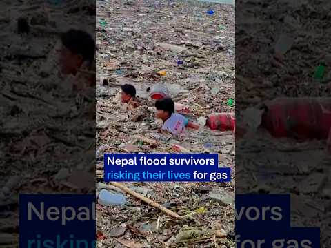 Why are Nepal's flood survivors risking their lives for gas cylinders? | DW News