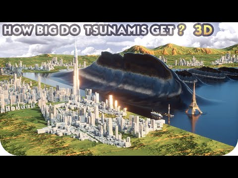 TSUNAMI Height Comparison (3D)