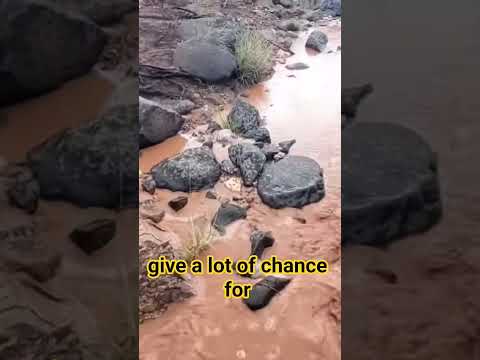 Nature's Example