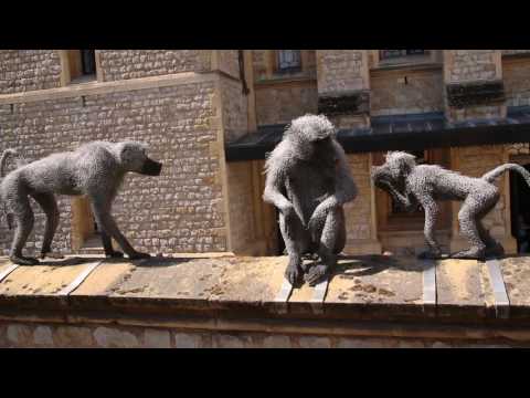 Tower Of London Animals