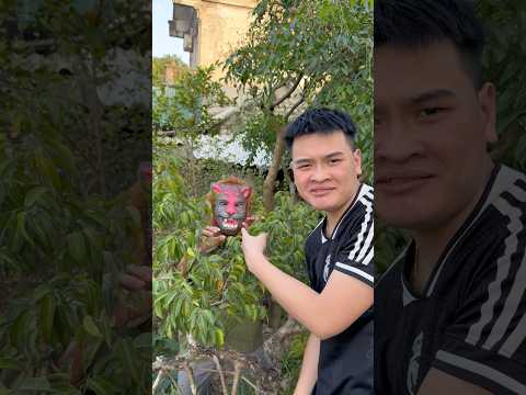 Đây là hổ hổ đen #funny