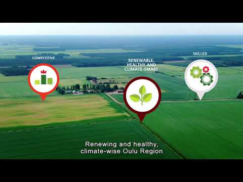 Oulu Region’s Smart Specialisation 2021-2024