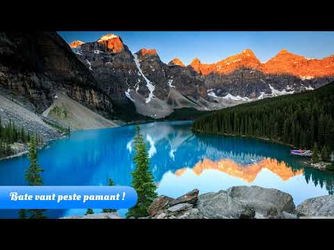 Folcloric Brasov - Bate vant peste pamant