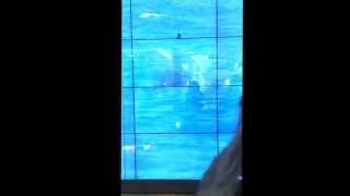 Time to  go some surf  happy time with Tania)