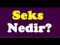 Seks Ne Demek Seks Nedir Sex Seks Neden Yapılır