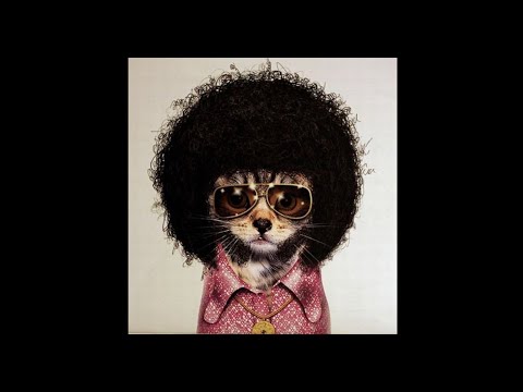 Beyoncé x CHIC & Nile Rodgers (Can't Break My Disco Soul) - Disco Remix