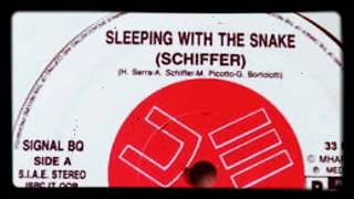 Schiffer - Sleeping With The Snake (Teutonic Mix)