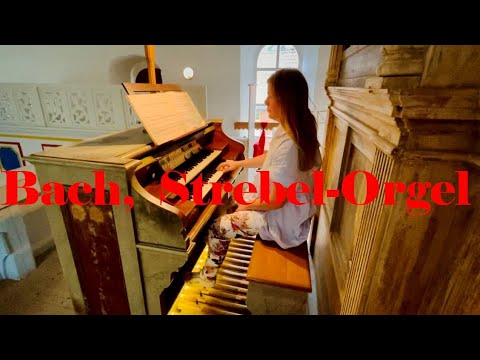 J.S. Bach BWV 543 a-Moll, Strebel Knauf Orgel Liebenrode Hohenstein, Thüringen #vlog