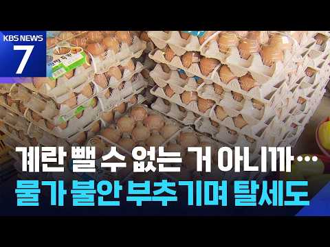‘금계란’ 수익 수십억 축소 신고…41개 업체 세무조사 / KBS 2026.09.14.