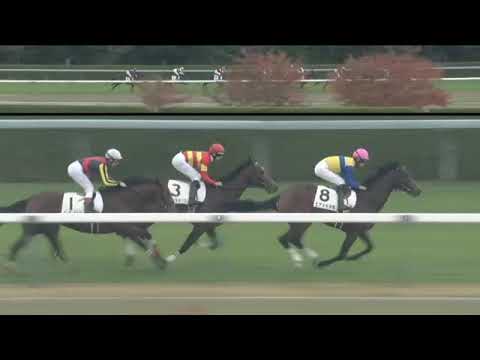 2022.11.20 2yo Newcomer (JPN) - Bellagio Opera
