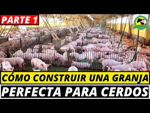 , title : 'CÓMO CRIAR CERDOS| ¿Cómo Se Debe CONSTRUIR Una GRANJA Porcina?'