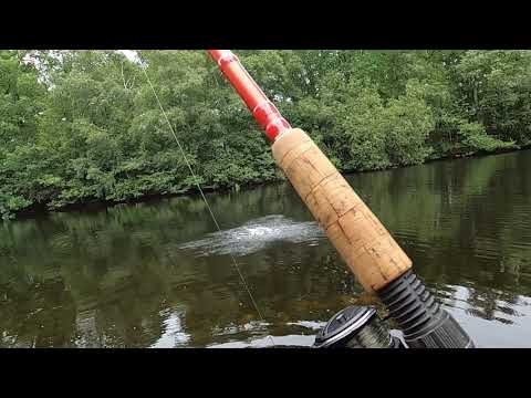 Fox Rage Pike Replicant 15cm 35g w akcji. Piekna świeca !!! malego wojownika. Szczupak