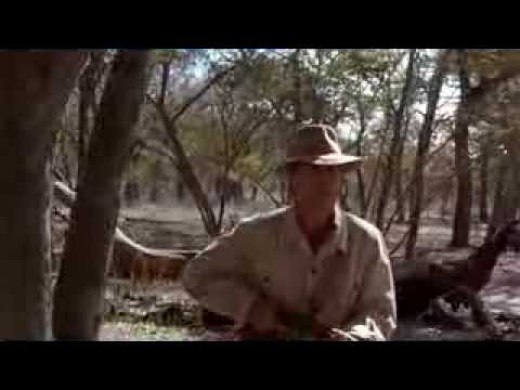 White Hunter Black Heart (1990) Trailer