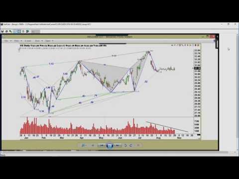 August 30th Trade What You See with Larry Pesavento on TFNN - 2016