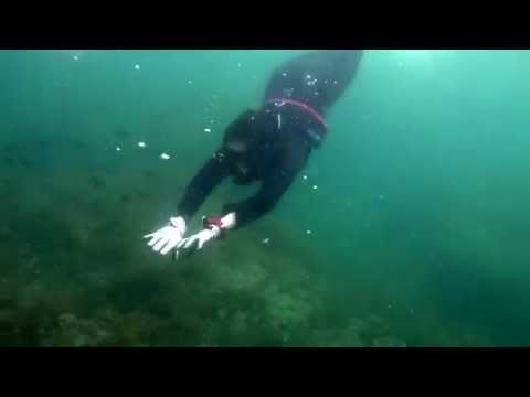 Skin diving practice 1 - Emily