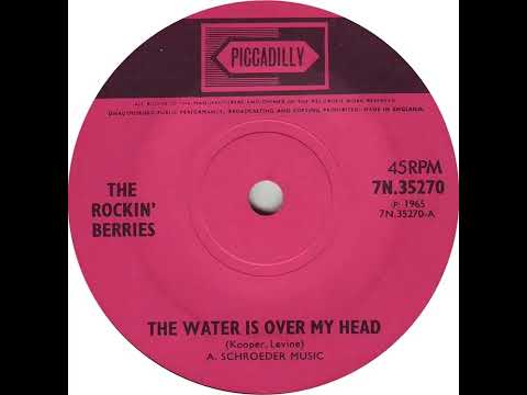 UK New Entry 1965 (332) The Rockin' Berries - The Water Is Over My Head