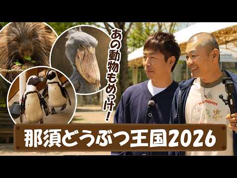 U字工事の旅！発見#345 　那須どうぶつ王国2026　～栃木県・那須町～