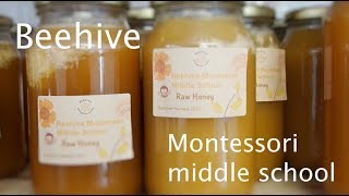 Beehive Montessori School - Western Australia