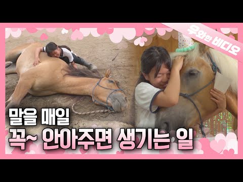 1년 만에 말과 교감하는 11살 최연소 말 트레이너의 말 사랑