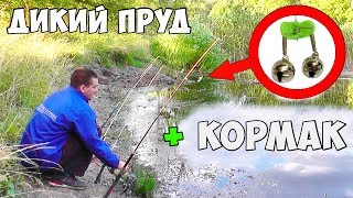 Ловля сазана и карася на диком озере в лесу