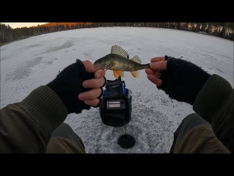 Pilkkikauden avaus Lämsänjärvellä