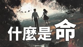 命運的真相，超乎你想像的靈魂系統！（2025）｜【你可敢信 & NicBelieve】