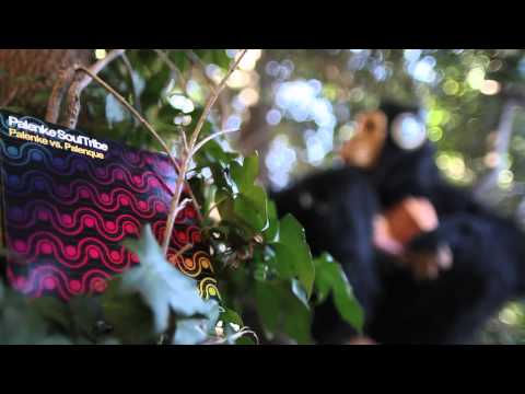 Palenke Soultribe teaser "AFRIKA IS THE MOTHER OF THE BEAT"