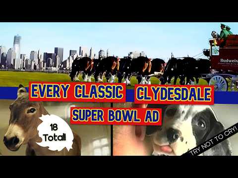 Every Budweiser Clydesdale Super Bowl Commercial Ever! 🏆 #superbowl #superbowlads #superbowllix