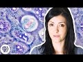 Do You Own Your Cells?