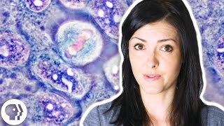 Do You Own Your Cells?