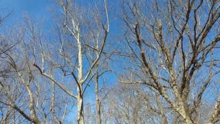 Widowmaker - Heads Up