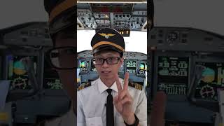 パイロットは冬が嫌い【パイロットあるある】 #エアライン #カナダ