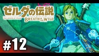 #12【実況】FPS実況者がプレイするゼルダの伝説ブレス オブ ザ ワイルド！【ハセシン】