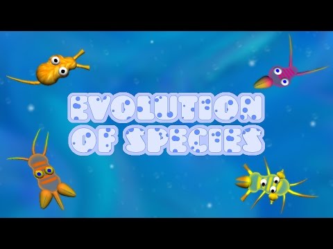 Evolution of Species Video