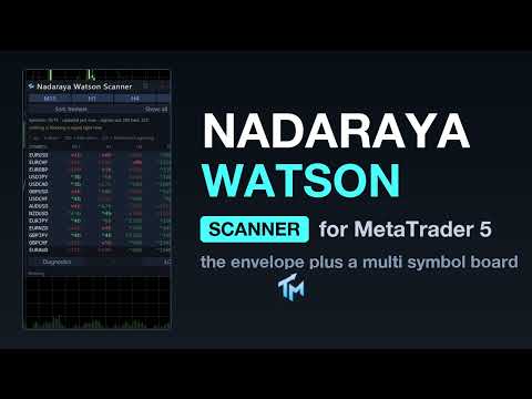 Video Nadaraya Watson Envelope Scanner