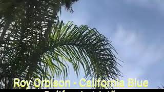 Roy Orbison - California Blue