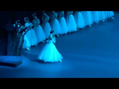 Giselle 22.01.23 Eva Sergeyenkova - debut