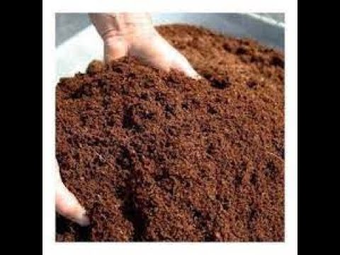 Coir Extraction Machine