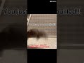 Ratatouille Rat Ratatoille