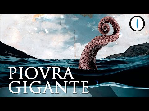 La PIOVRA GIGANTE esiste davvero?