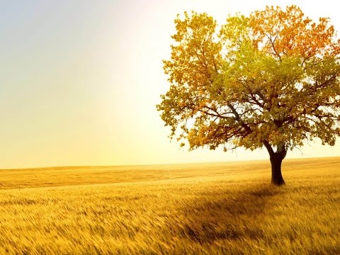 Ele Está Vivo (proclamação) - Igreja Cristã…