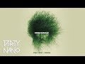 Dirty Nano ❌ @Delia  - Verde Imparat | REMIX