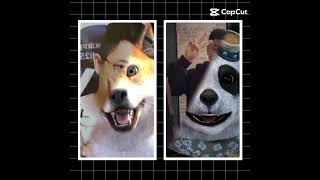 Download lagu Muka asli obit dan poo panda😱🤫#short#fypシ#jj#obit#poopanda mp3