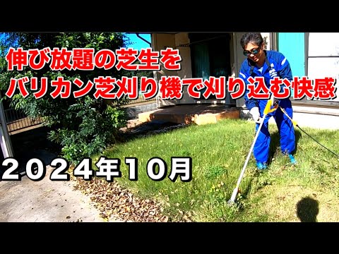 鶏小屋を内側から整理するにはどうすればよいですか？農家によると、6 つの必須機能と 3 つの絶対に避けるべき機能  庭園