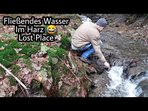 Altes Hotel Restaurant im Harz 😍